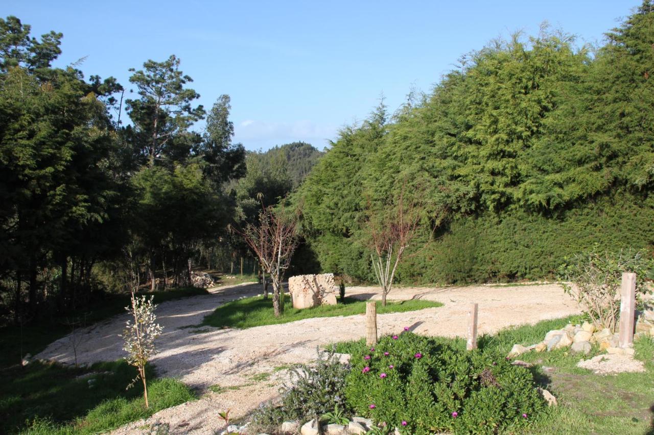 Bed and Breakfast Quinta Japonesa Carvalhal Bemfeito Exterior foto